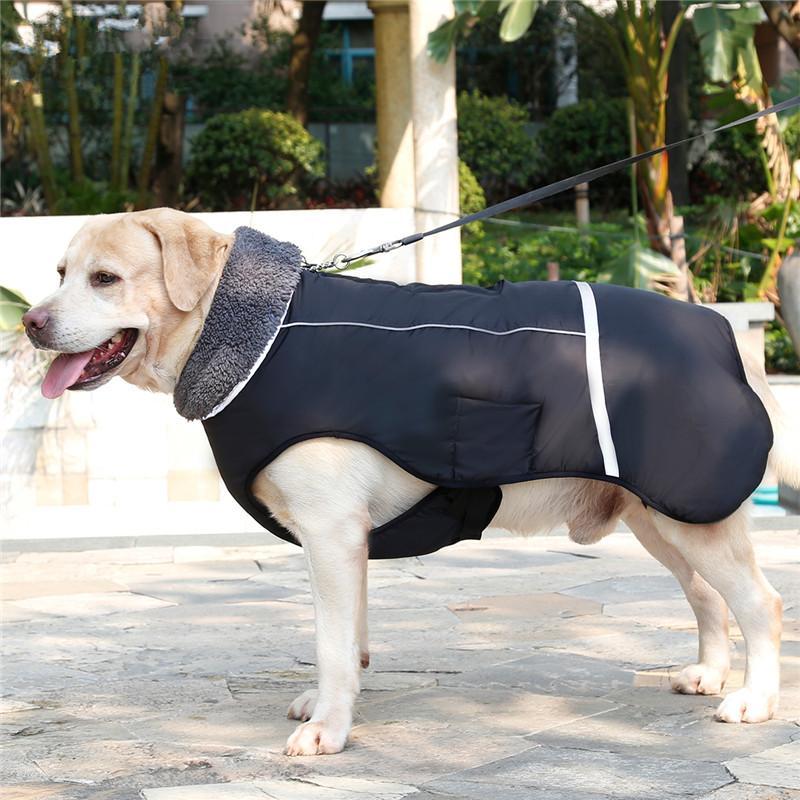 Pooches Coats & Clothing