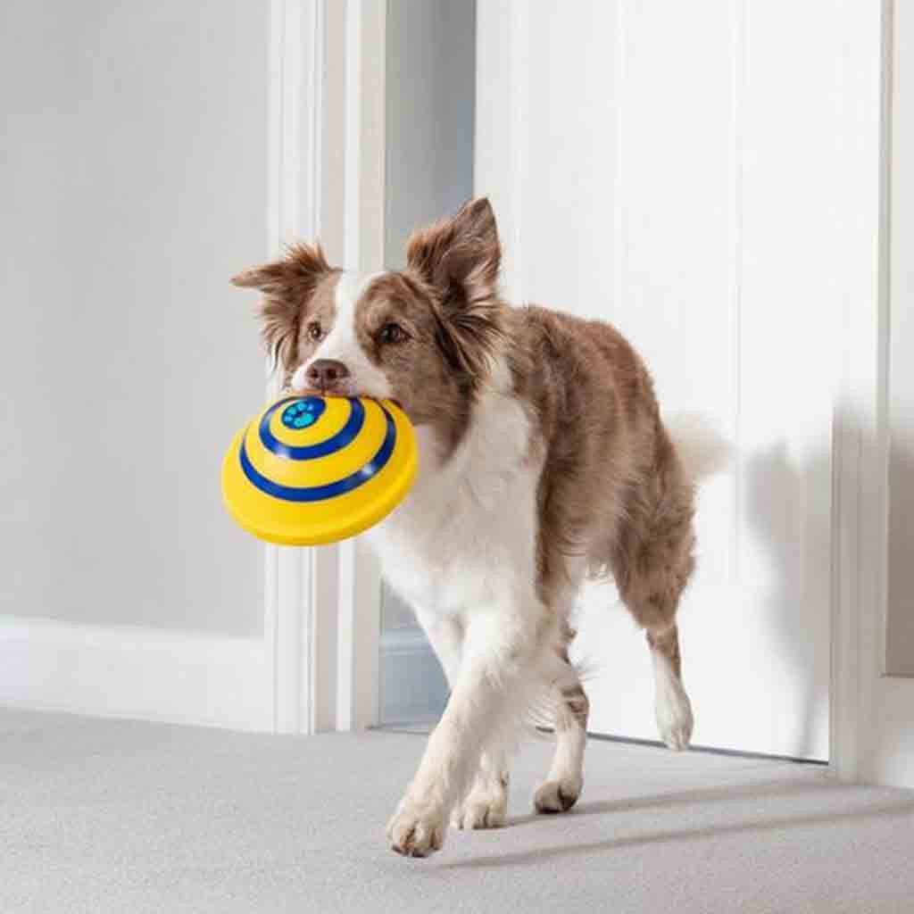Disc Glider Soft &amp; Safe Dog Play Toy