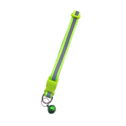 Fluorescent Pet Collar