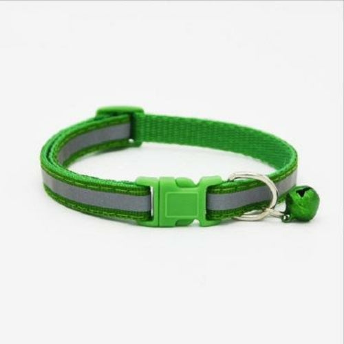 Fluorescent Pet Collar