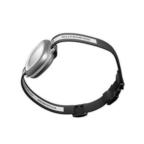 Dog Locator Collar