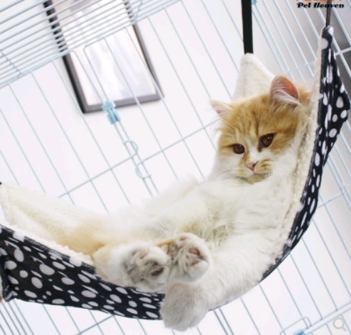 Cat Hammock Nest/Bed