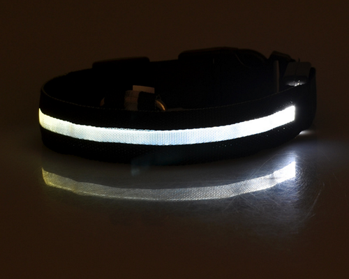 Night &amp; Day Dog LED Collar in 7 Colours