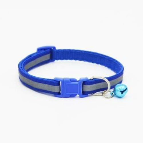 Fluorescent Pet Collar