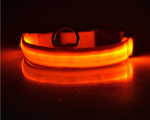 Night &amp; Day Dog LED Collar in 7 Colours
