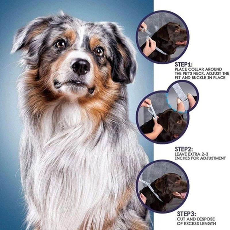 Insect Repellent Pet Collar