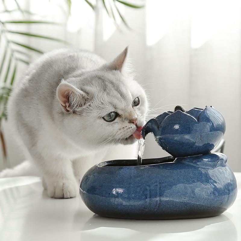 Water Fountain Feeder for Cats