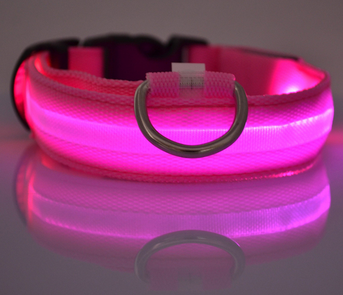 Night &amp; Day Dog LED Collar in 7 Colours