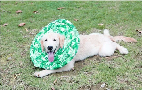 Comfortable Pet Protective Cover