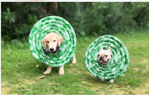 Comfortable Pet Protective Cover