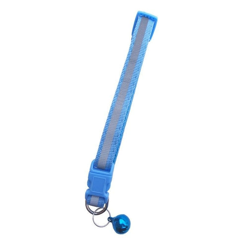 Fluorescent Pet Collar