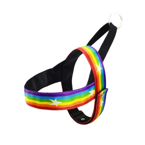 Rainbow Harness Dog Lead