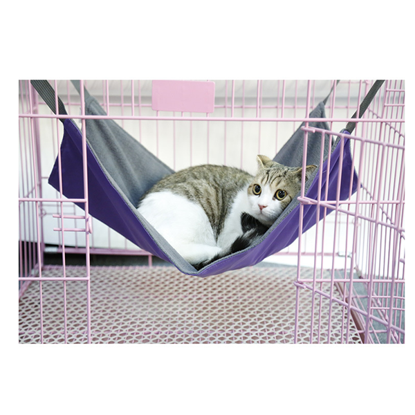 Plane Cat Hammock