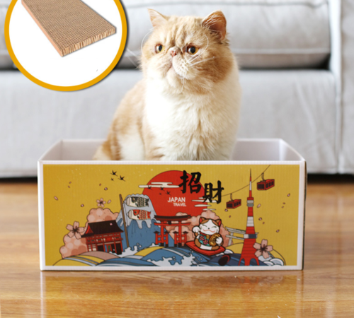 Cat Scratch Board Toy