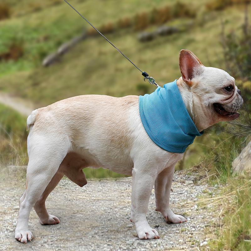 Dog Cooling Neck Scarf