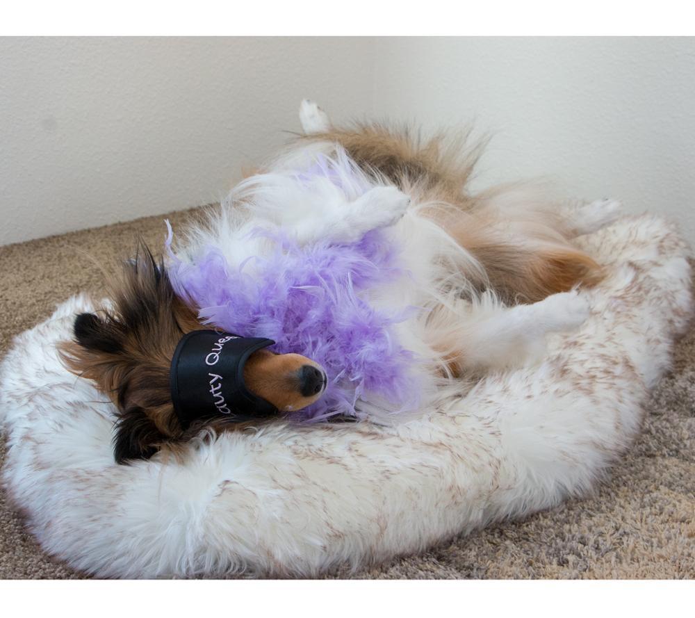 Dog Warm Pad