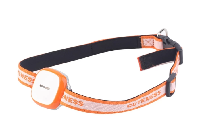 Dog Locator Collar