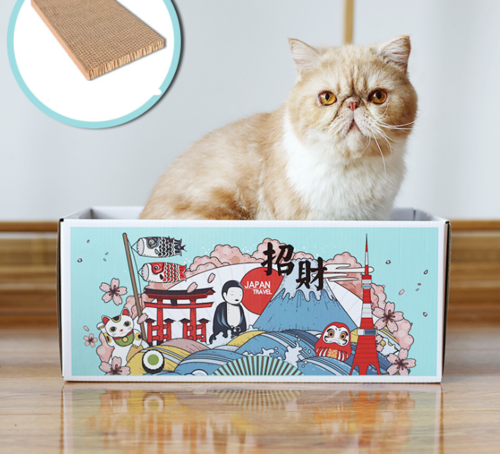 Cat Scratch Board Toy