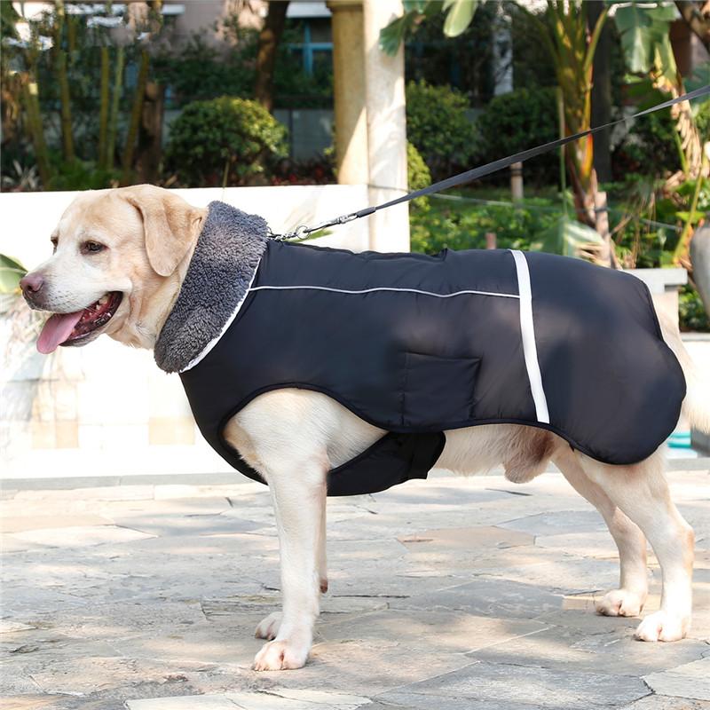 Dog Thick Warm Coat