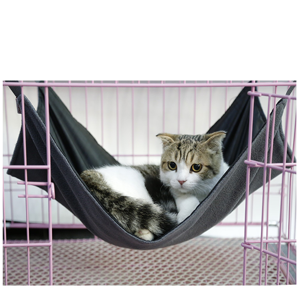 Plane Cat Hammock