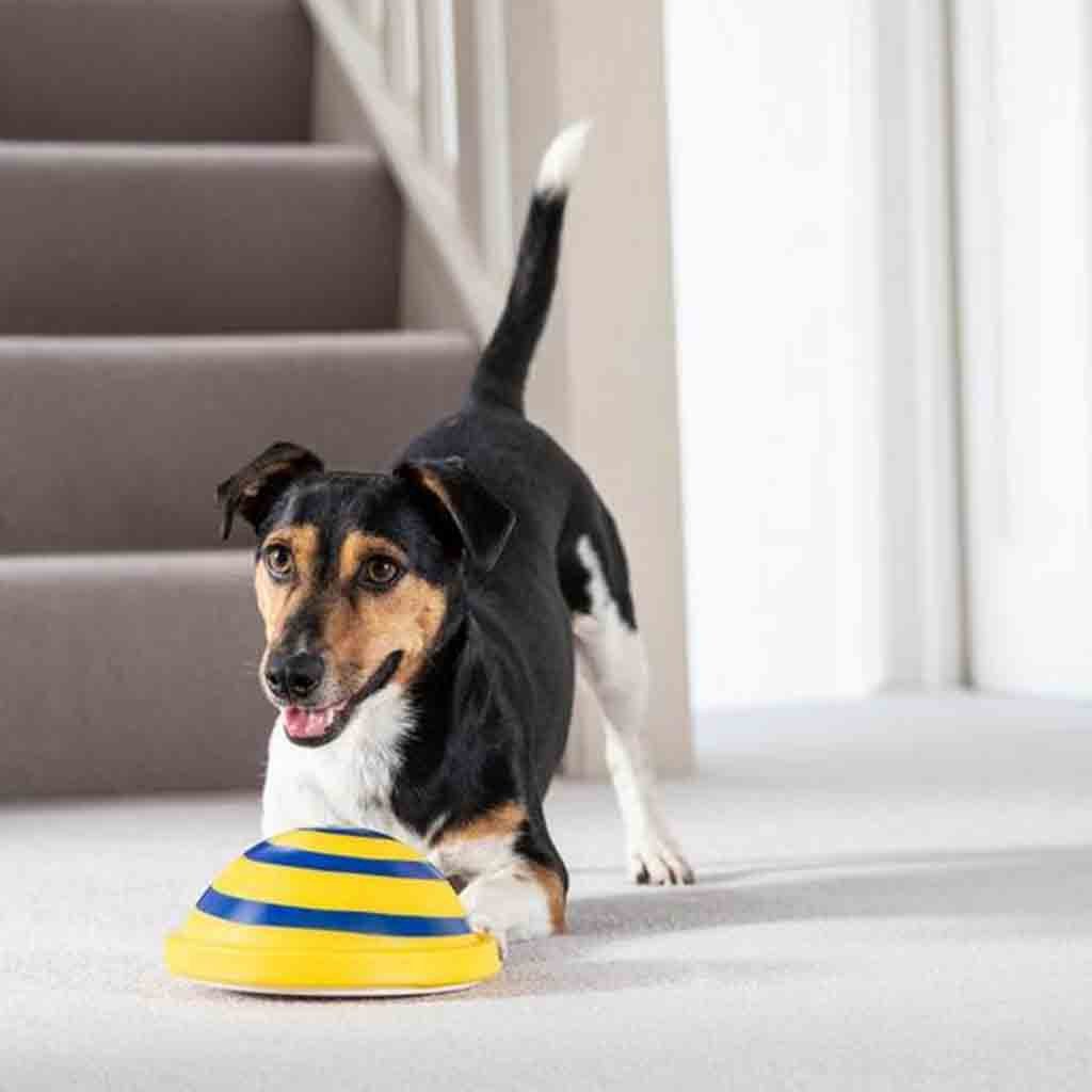 Disc Glider Soft &amp; Safe Dog Play Toy