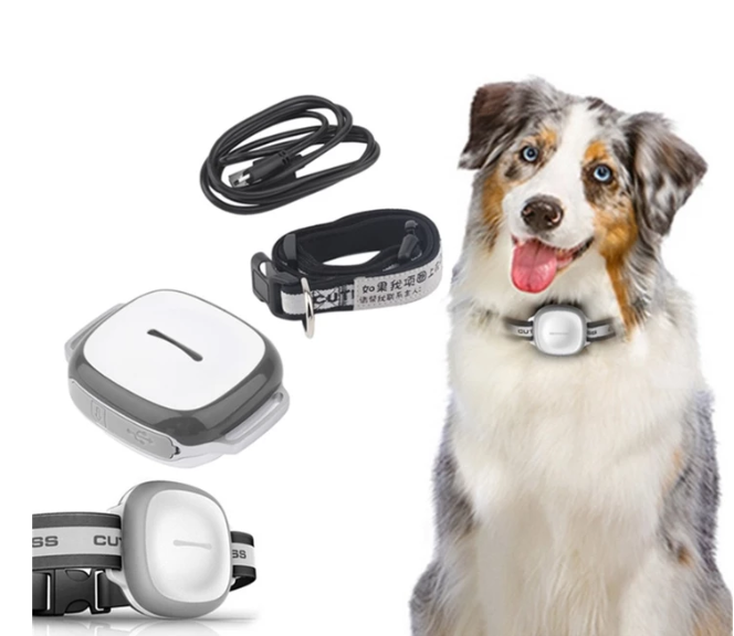 Dog Locator Collar