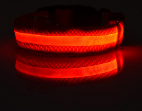 Night &amp; Day Dog LED Collar in 7 Colours