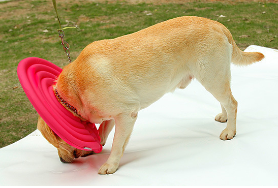 Comfortable Pet Protective Cover