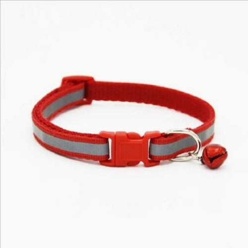 Fluorescent Pet Collar