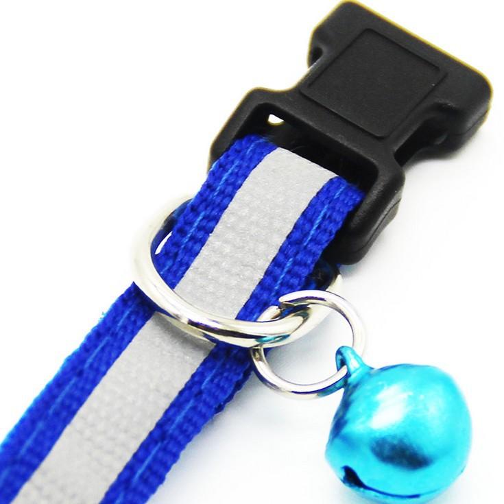 Fluorescent Pet Collar
