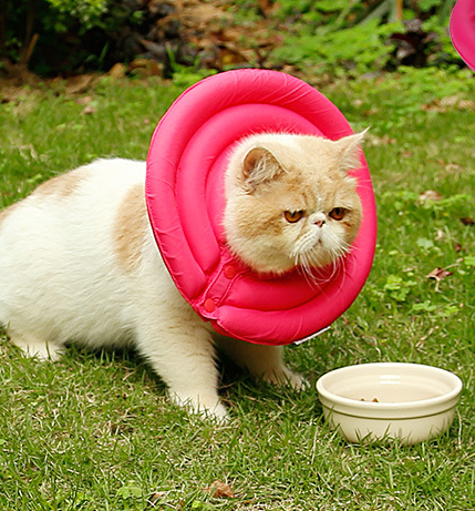 Comfortable Pet Protective Cover