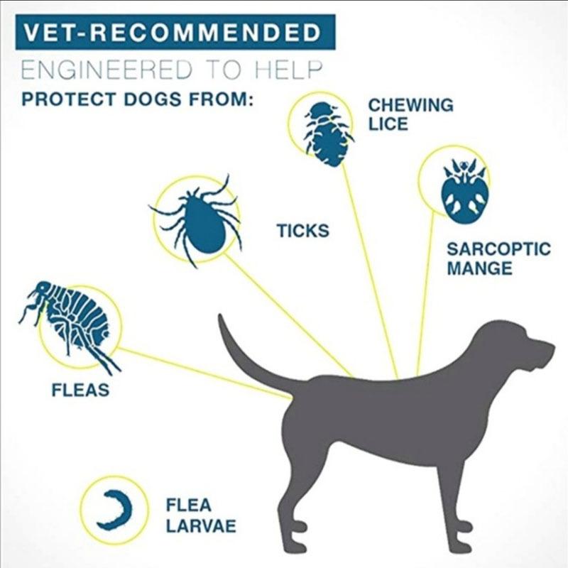 Insect Repellent Pet Collar
