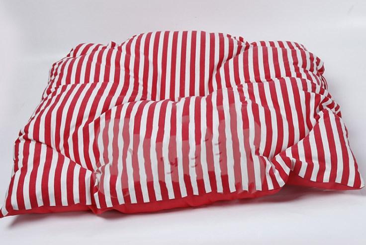 Pet Tent (Red stripe)