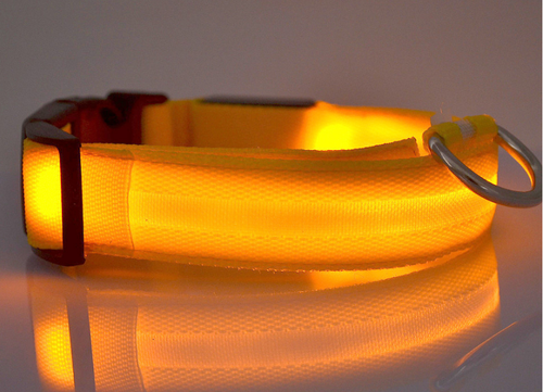 Night &amp; Day Dog LED Collar in 7 Colours