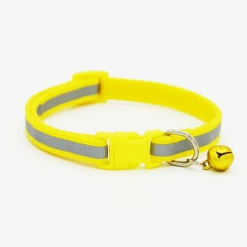 Fluorescent Pet Collar