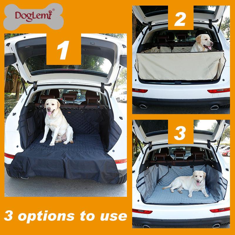 Car Dog Matt
