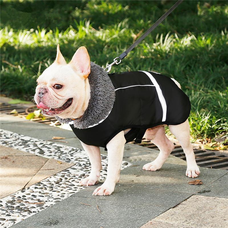 Dog Thick Warm Coat