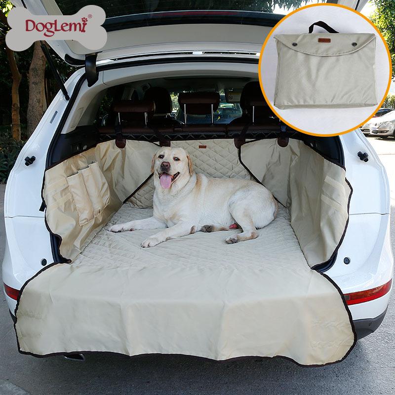 Car Dog Matt
