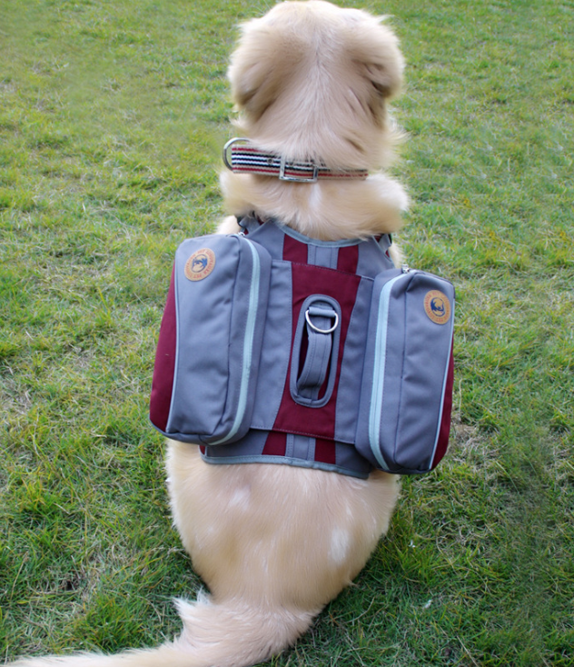 Dog Portable Travel Bag