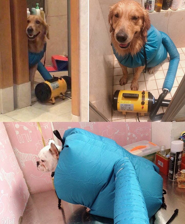 Fluffy Puppy Dryer