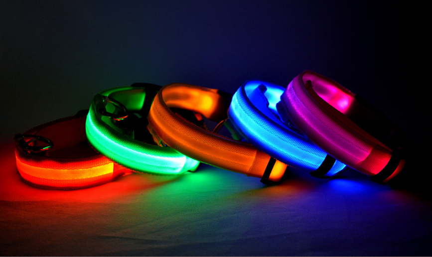 Night &amp; Day Dog LED Collar in 7 Colours