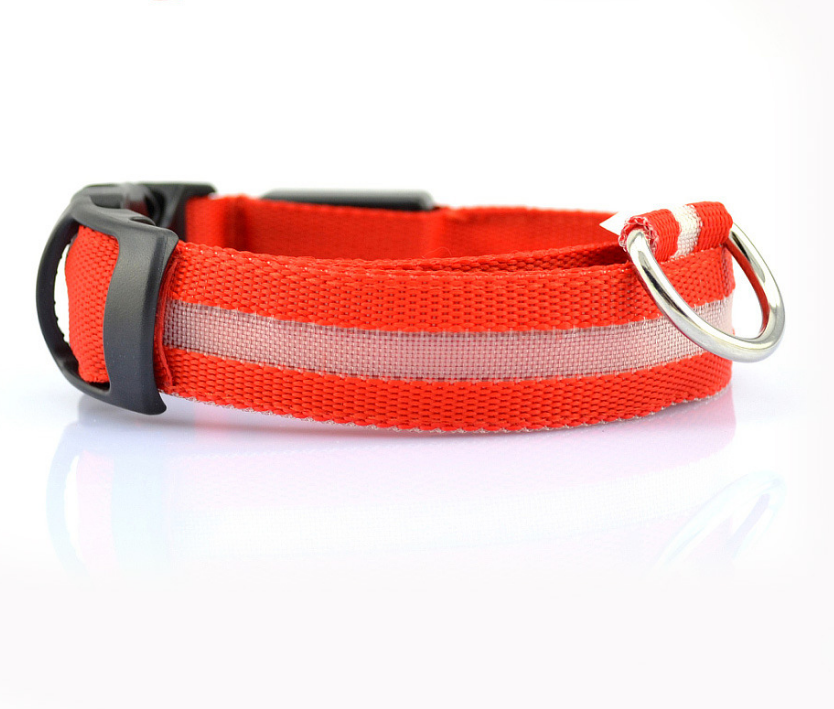 Night &amp; Day Dog LED Collar in 7 Colours