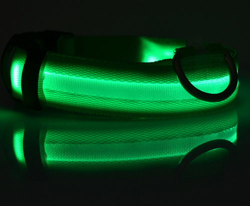 Night &amp; Day Dog LED Collar in 7 Colours