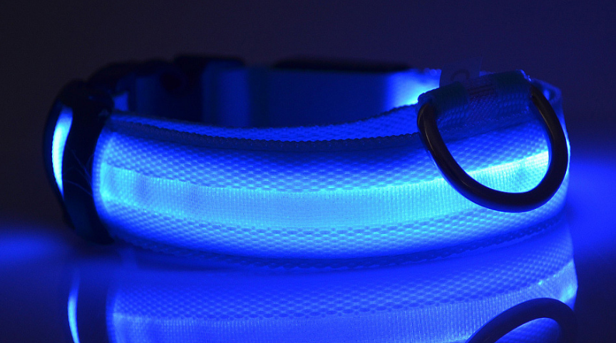 Night &amp; Day Dog LED Collar in 7 Colours