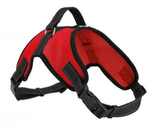 Dog Harness