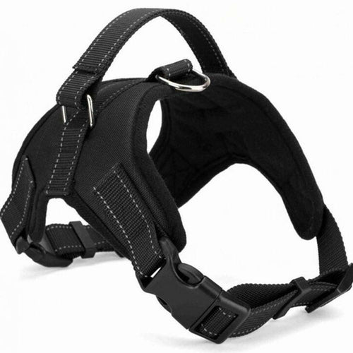 Dog Harness
