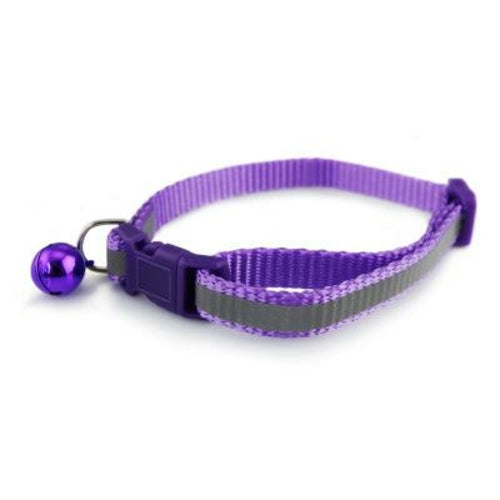 Fluorescent Pet Collar