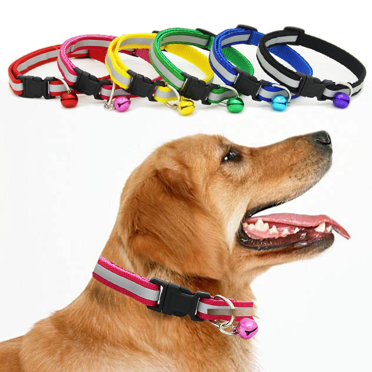 Fluorescent Pet Collar