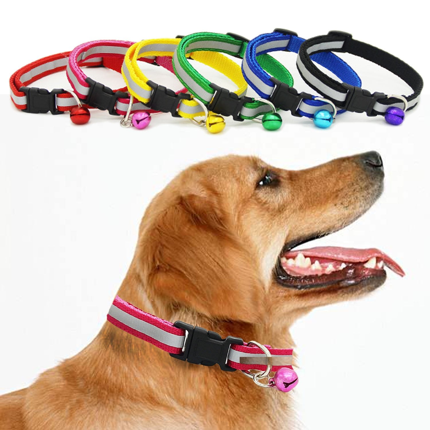 Fluorescent Pet Collar
